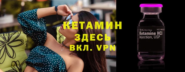 индика Болохово