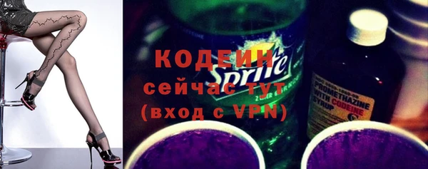 индика Болохово