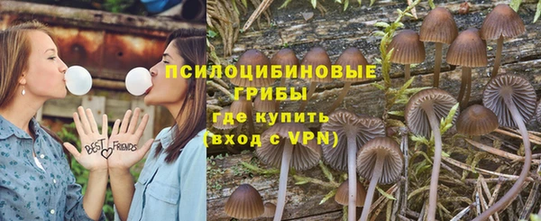прущая мука Покачи