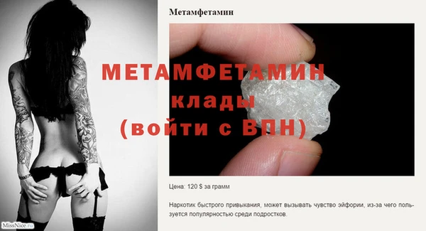 индика Болохово