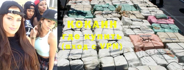 индика Болохово