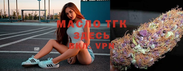 индика Болохово